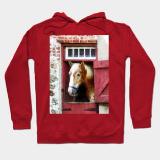 Horses - Palomino by Barn Door Hoodie